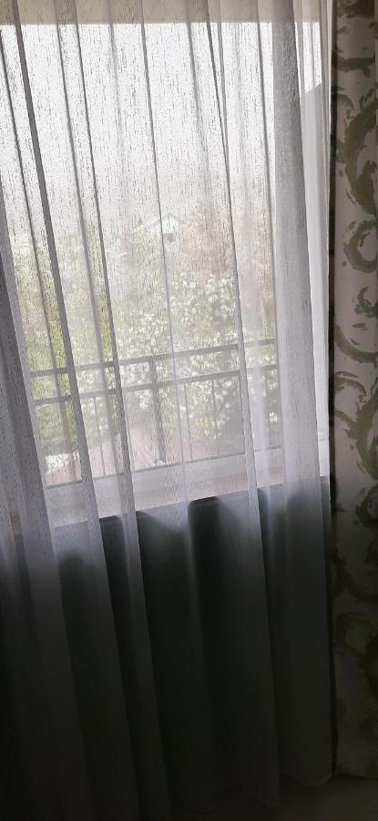 Olga Guest House Cholpon-Ata Ngoại thất bức ảnh