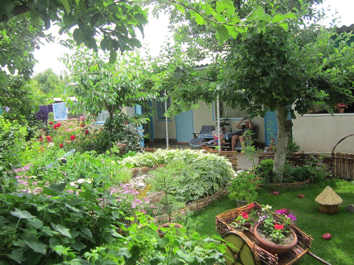 Olga Guest House Cholpon-Ata Ngoại thất bức ảnh