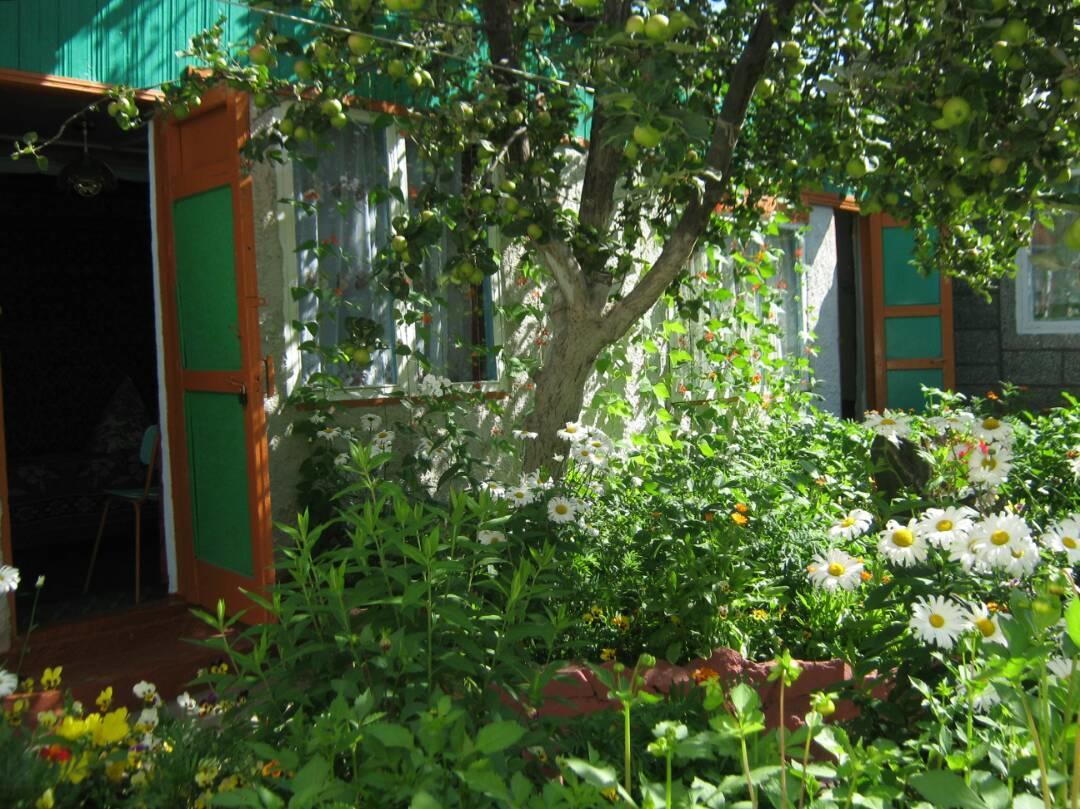 Olga Guest House Cholpon-Ata Ngoại thất bức ảnh