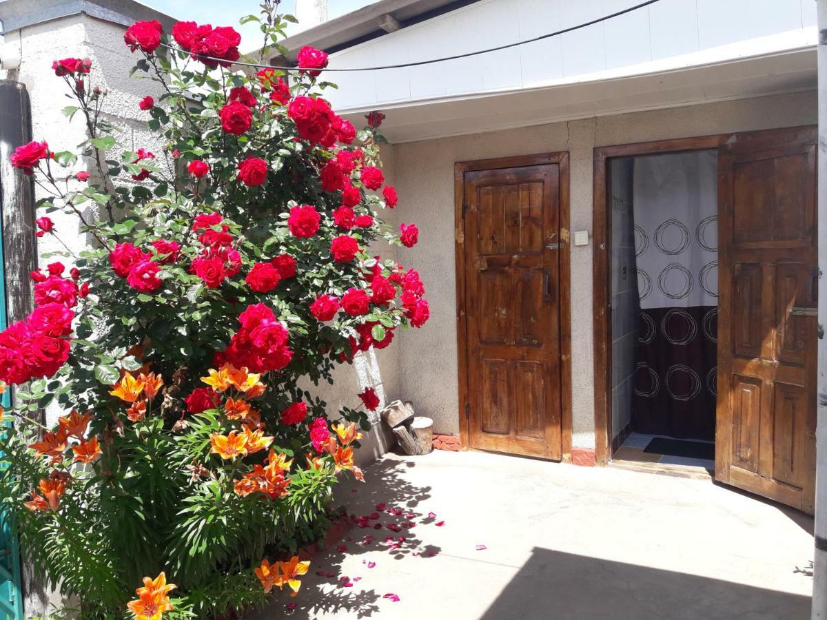 Olga Guest House Cholpon-Ata Ngoại thất bức ảnh
