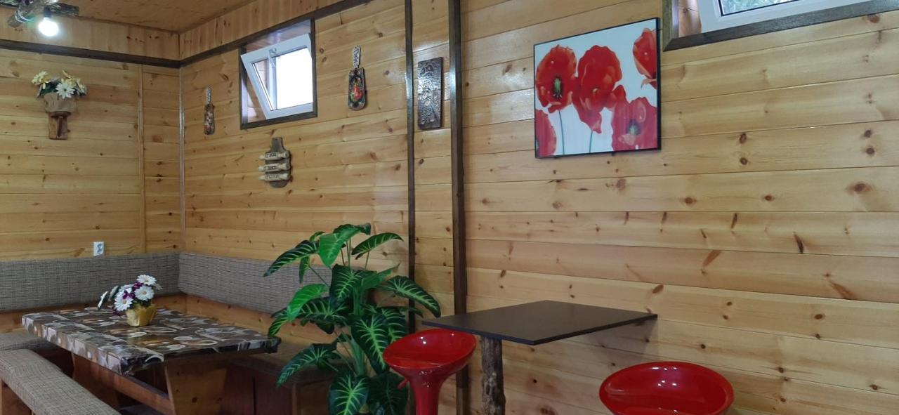 Olga Guest House Cholpon-Ata Ngoại thất bức ảnh