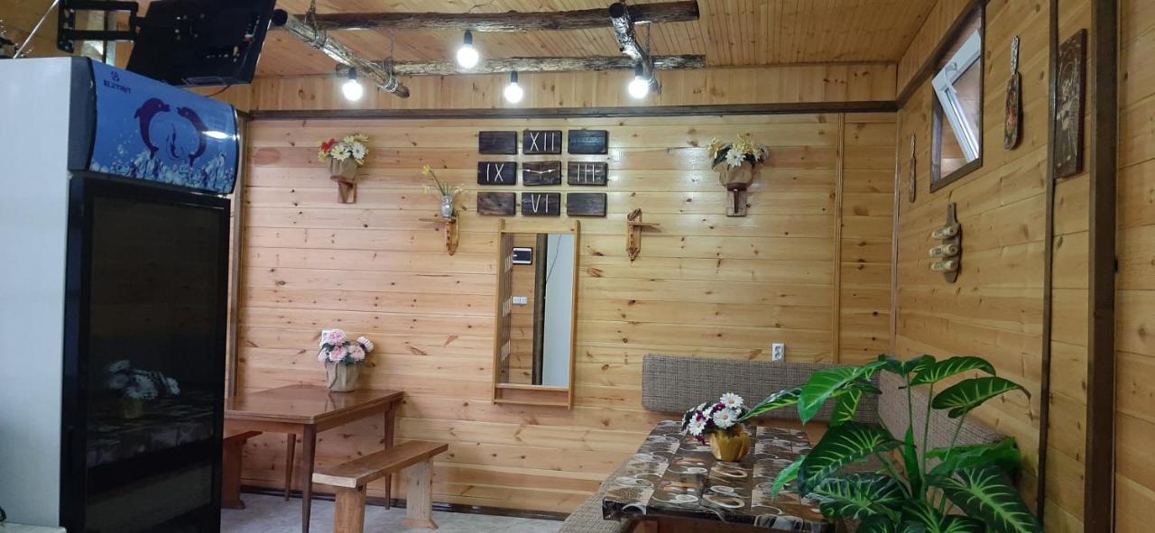 Olga Guest House Cholpon-Ata Ngoại thất bức ảnh