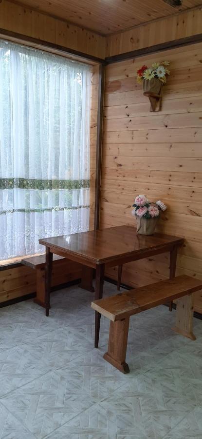 Olga Guest House Cholpon-Ata Ngoại thất bức ảnh